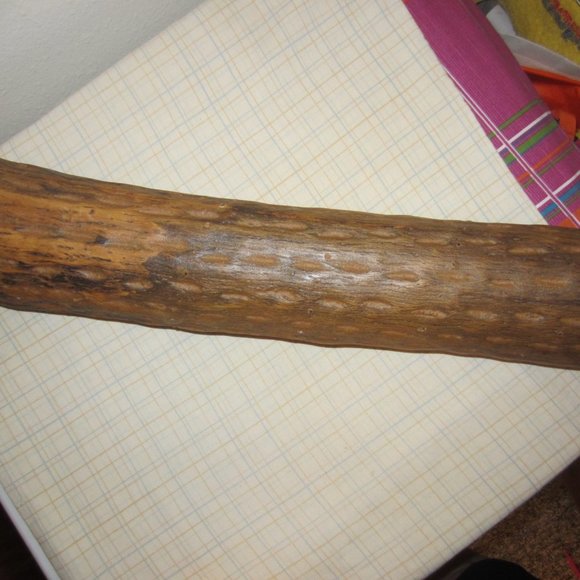 VINTAGE CACTUS HOLLOW-LOG STICK -IT SHAKES INTRUMENT MUSIC - Picture 5 of 7